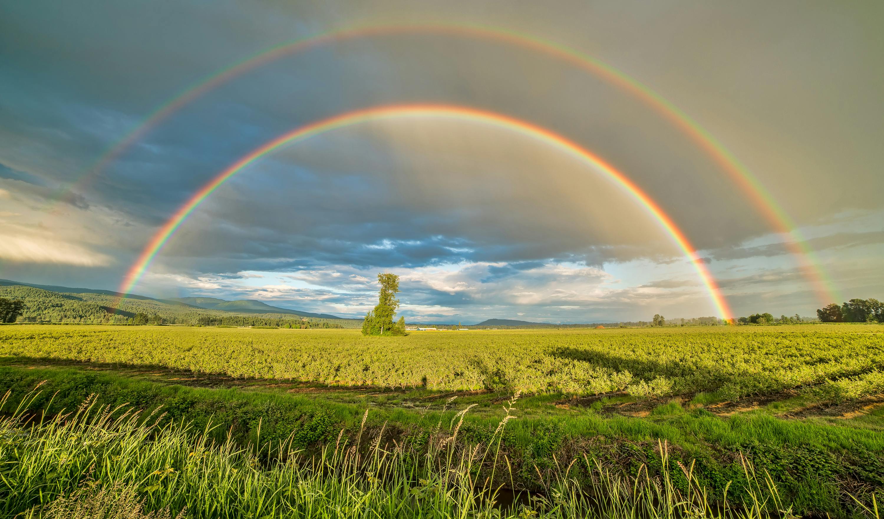Picture of a rainbow